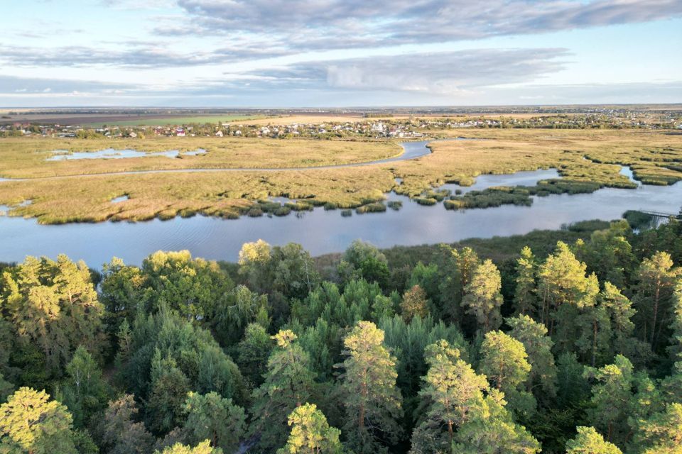 земля р-н Чердаклинский фото 4