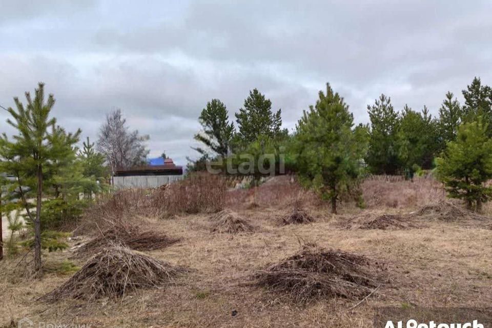 земля г Сургут снт Автомобилист-1 ул Рябиновая Нижневартовск городской округ фото 4