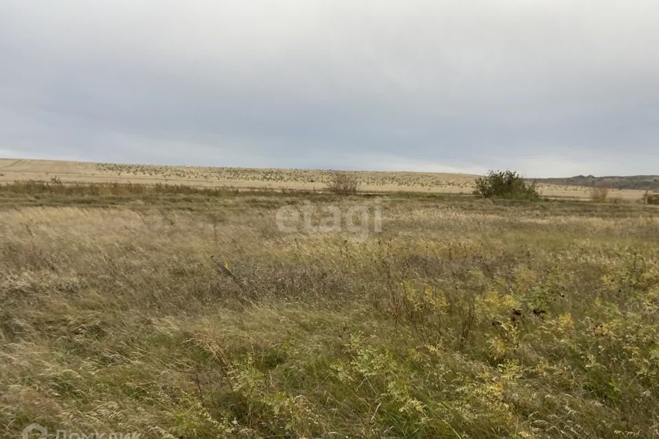 земля р-н Алтайский село Белый Яр фото 2