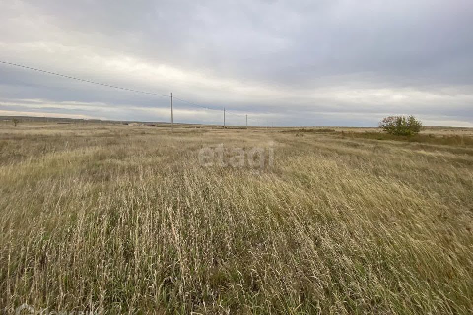 земля р-н Алтайский село Белый Яр фото 4