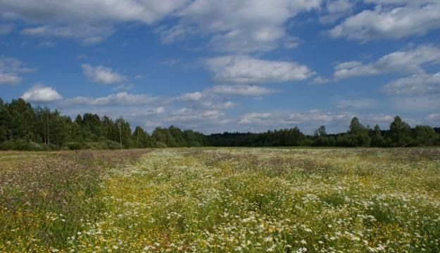 земля р-н Томский п Зональная Станция мкр Перспективный Зональненское сельское поселение фото 1