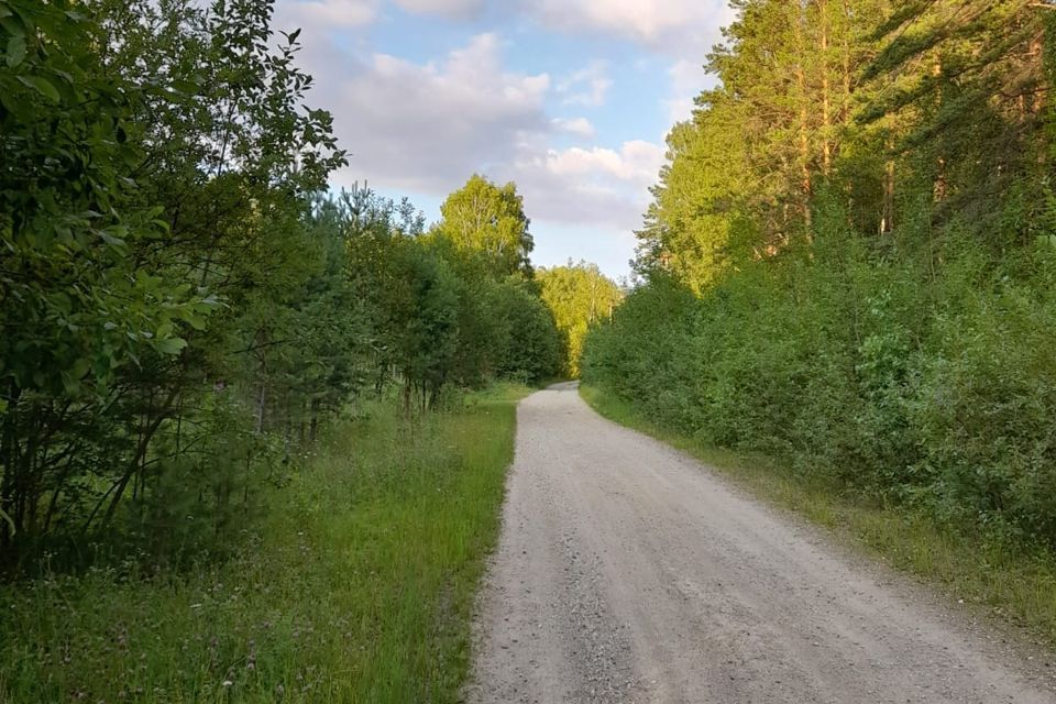 земля городской округ Ревда, село Кунгурка фото 5