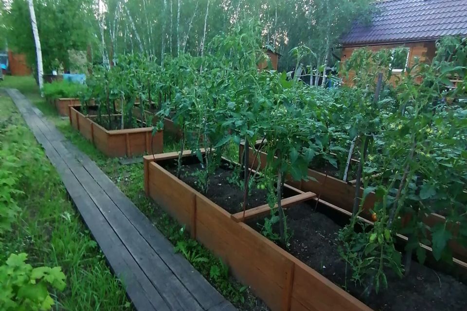 дом г Якутск с Маган городской округ Якутск, садово-огородническое товарищество Кынат фото 7