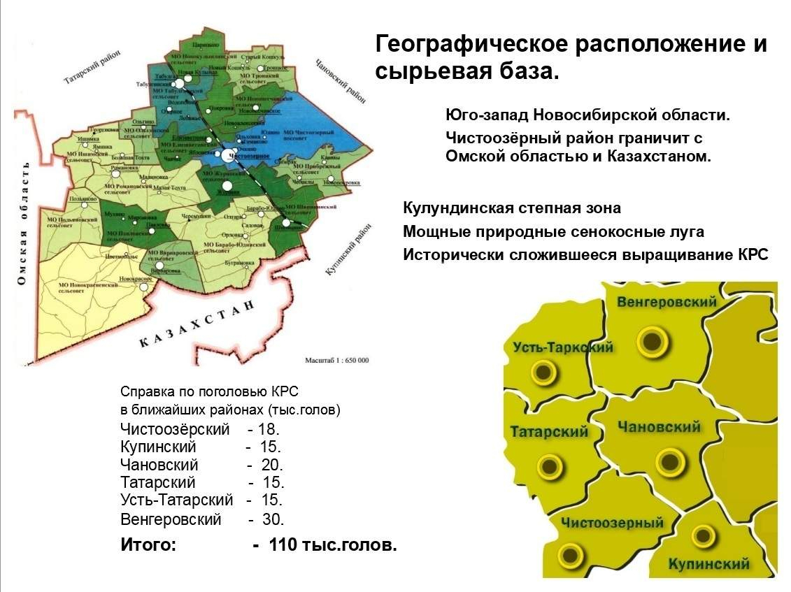 готовый бизнес р-н Чистоозерный рп Чистоозерное ул Сорокина 1 фото 3