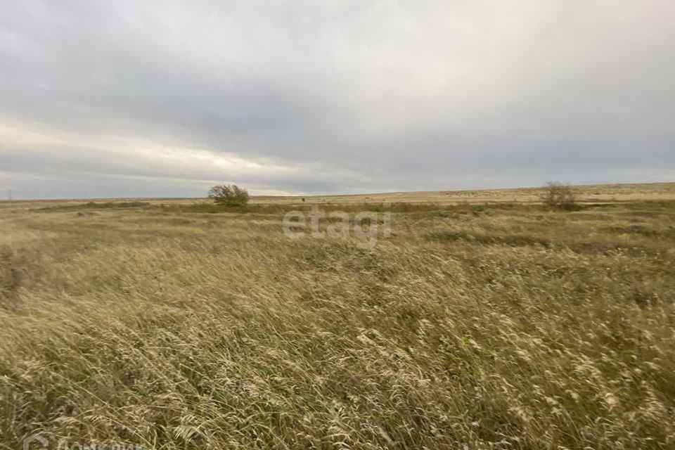 земля р-н Алтайский село Белый Яр фото 6