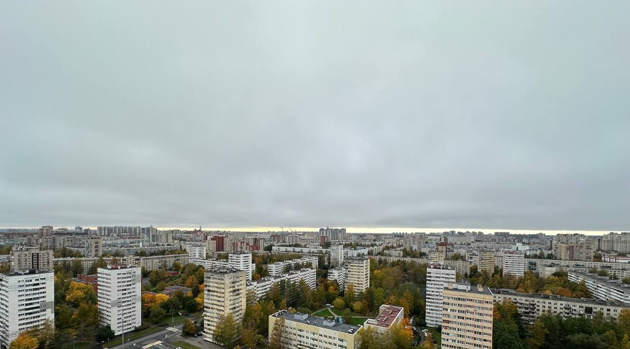 квартира г Санкт-Петербург метро Проспект Просвещения ул Кустодиева 3к/2 округ № 15 фото 21