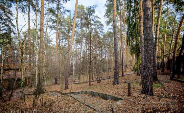 15 км, ДСК Зелёная Лощина, Красногорск, Рублёво-Успенское шоссе фото