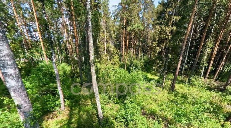 земля р-н Тюменский д Зубарева ул Центральная фото 3