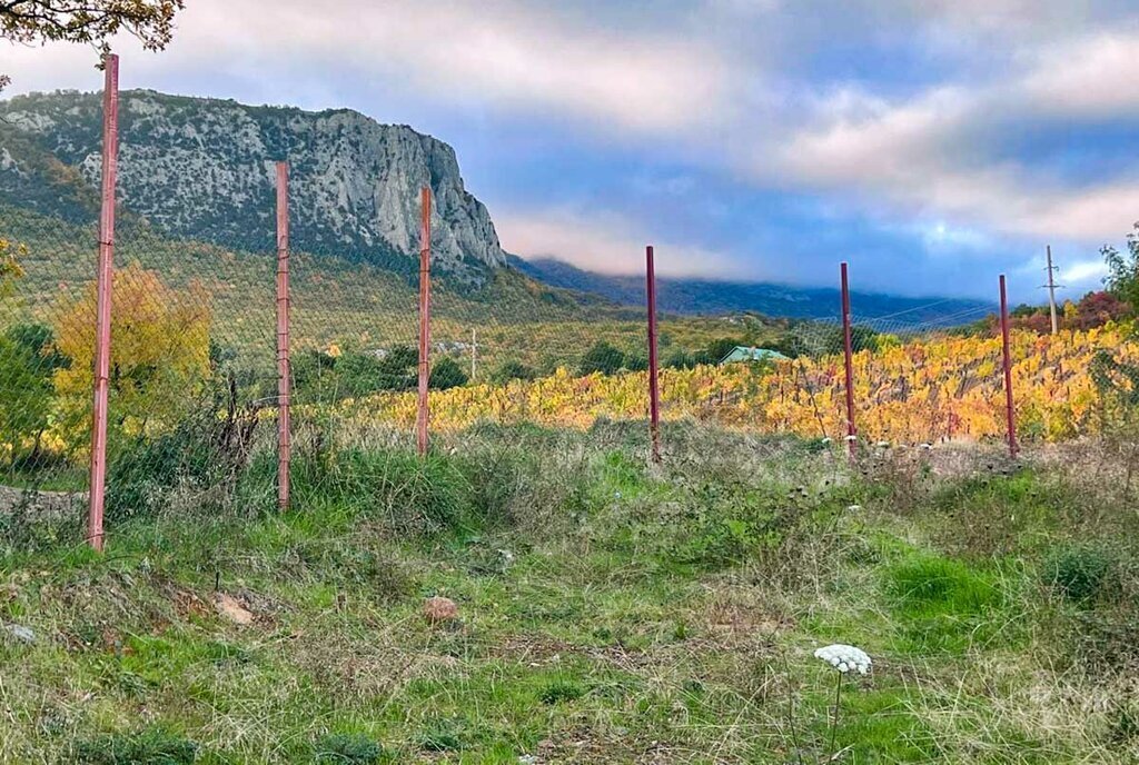 земля г Алушта с Малый Маяк фото 4