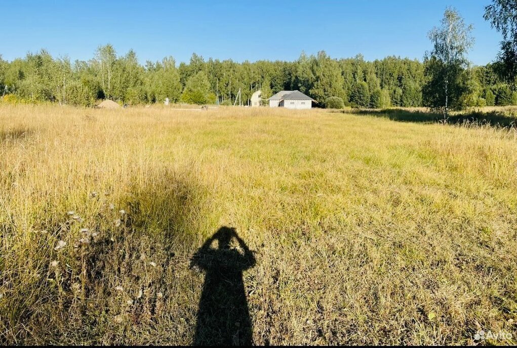 земля городской округ Богородский д Молзино фото 3