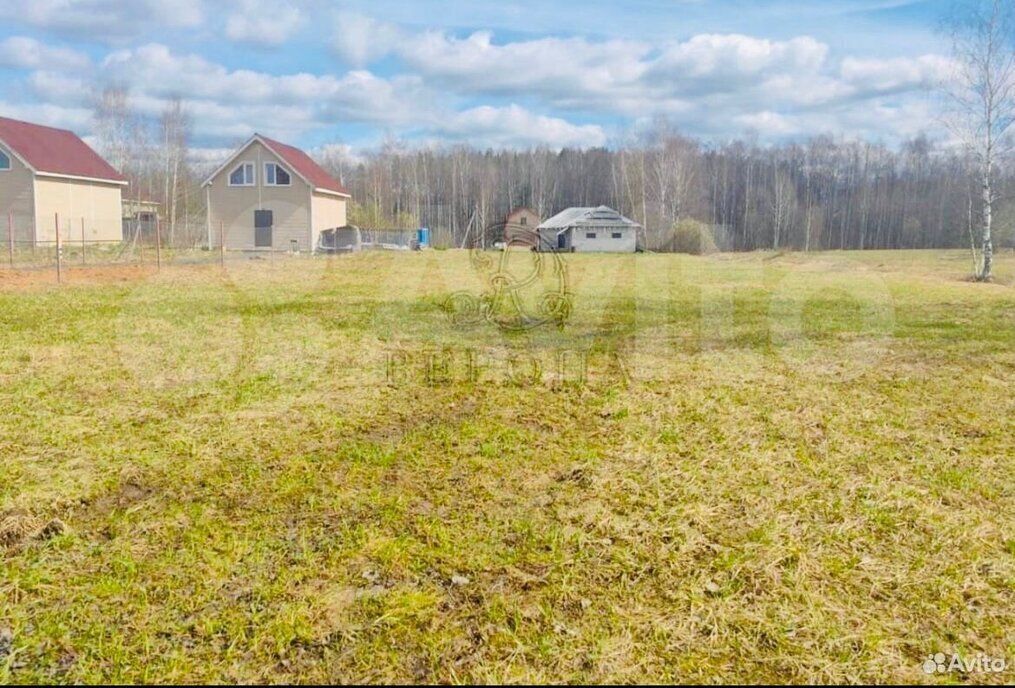 земля городской округ Богородский д Молзино фото 5