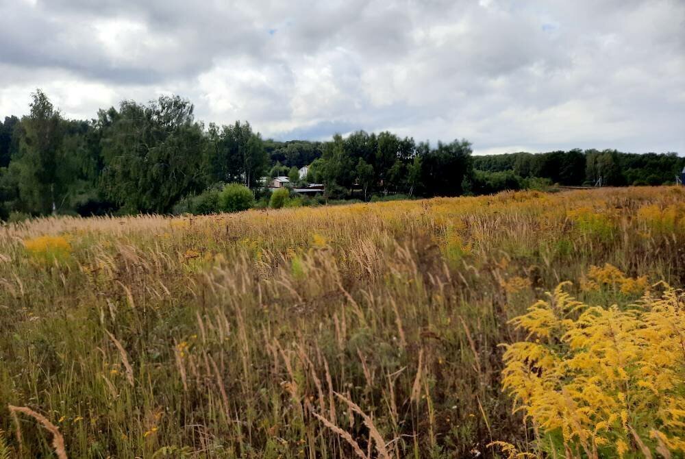 земля городской округ Серпухов д Зайцево фото 4