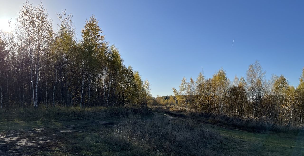 земля городской округ Серпухов д Большое Грызлово 87 км, Пущино, Симферопольское шоссе фото 4