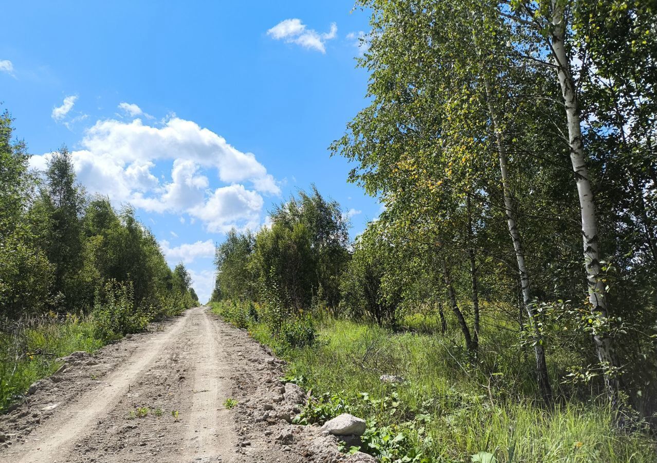 земля городской округ Серпухов д Тульчино 83 км, Пущино, Симферопольское шоссе фото 16