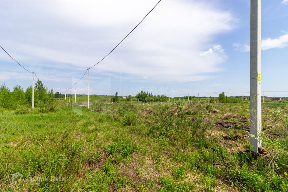 земля г Тюмень городской округ Тюмень, ДНТСН Зелёный Бор фото 9