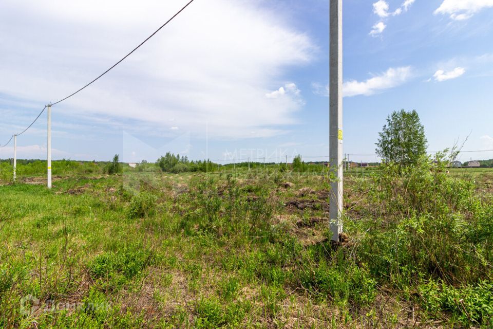 земля г Тюмень городской округ Тюмень, ДНТСН Зелёный Бор фото 10