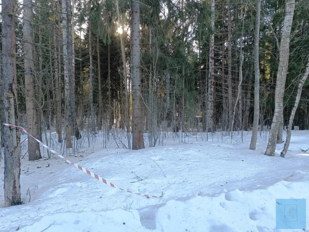 земля городской округ Солнечногорск д Михайловка михайловка, Ленинградское фото 3