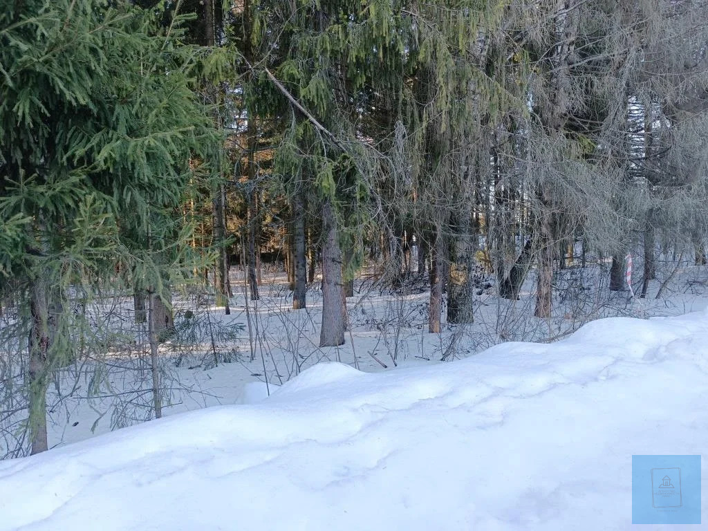 земля городской округ Солнечногорск д Михайловка михайловка, Ленинградское фото 4