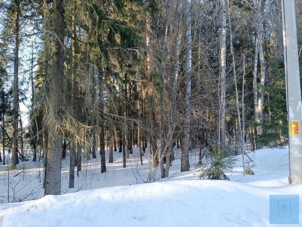 земля городской округ Солнечногорск д Михайловка михайловка, Ленинградское фото 8