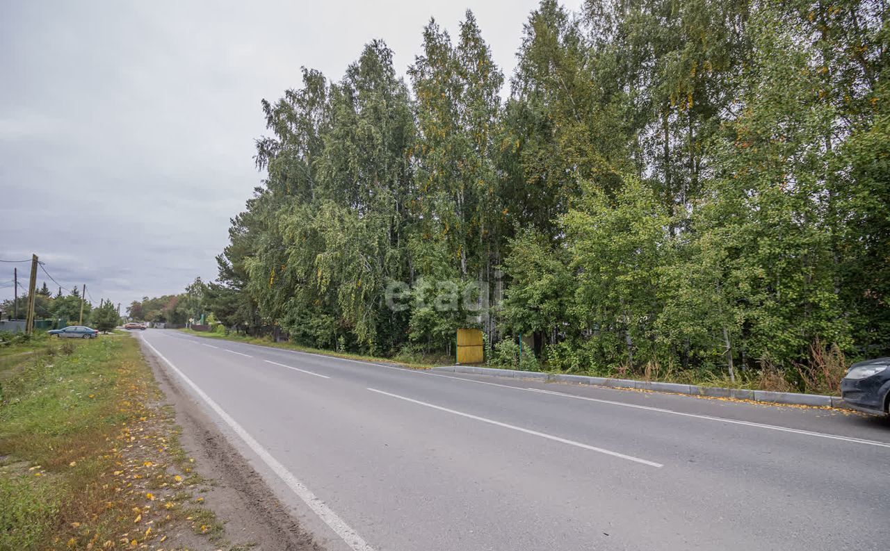 земля г Тюмень р-н Центральный снт Автомобилист Сливовая ул фото 24