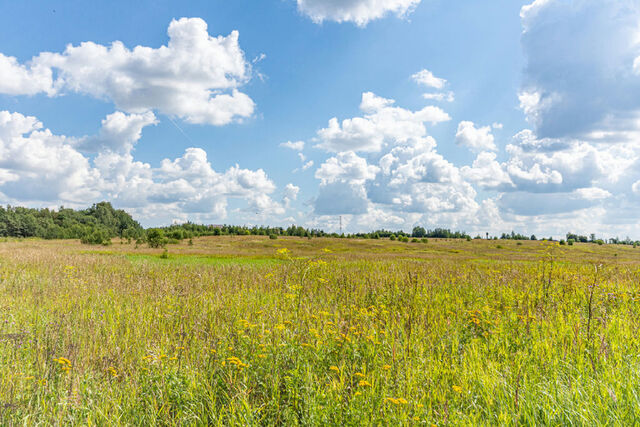 Ренессанс Парк КП фото