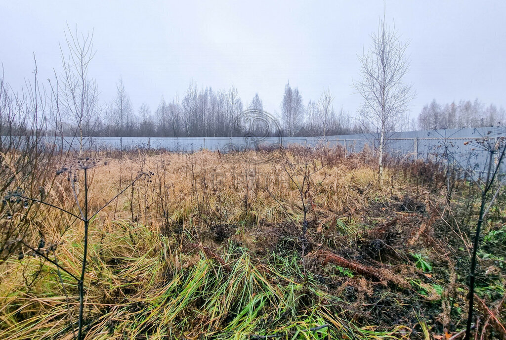 земля городской округ Богородский д Следово фото 3