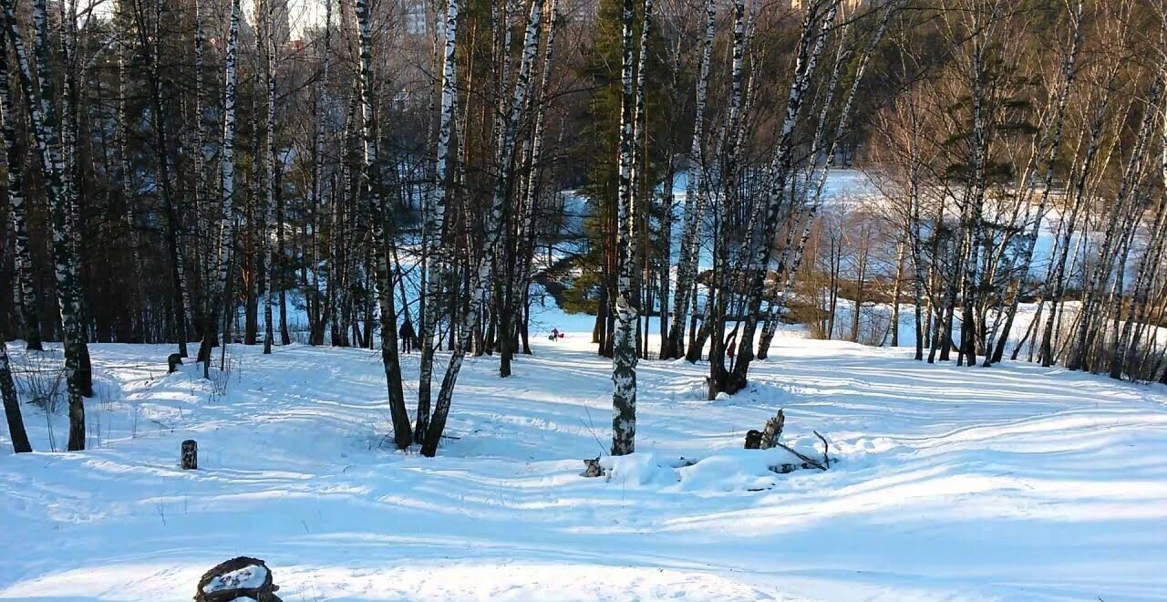 дом городской округ Ленинский д Дыдылдино 6 км, 40А, Видное, Новокаширское шоссе фото 12