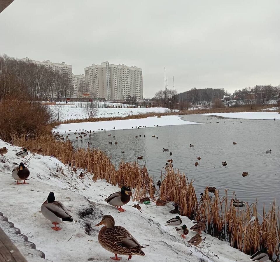 дом городской округ Ленинский д Дыдылдино 6 км, 40А, Видное, Новокаширское шоссе фото 10