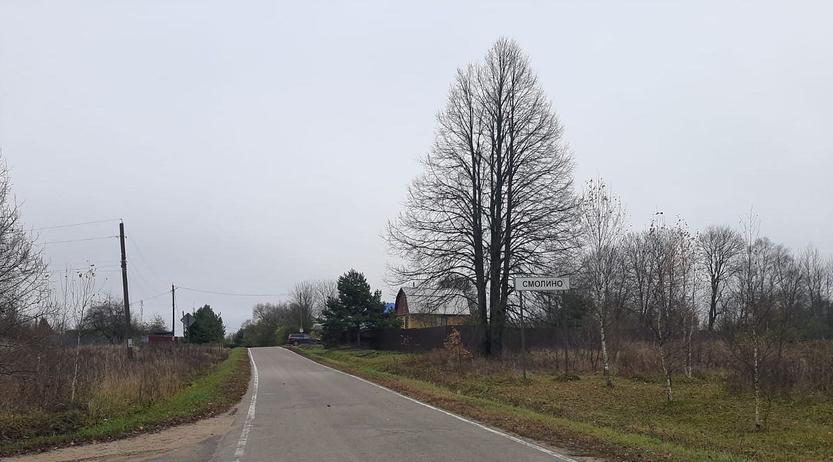 земля городской округ Наро-Фоминский д Смолино фото 2