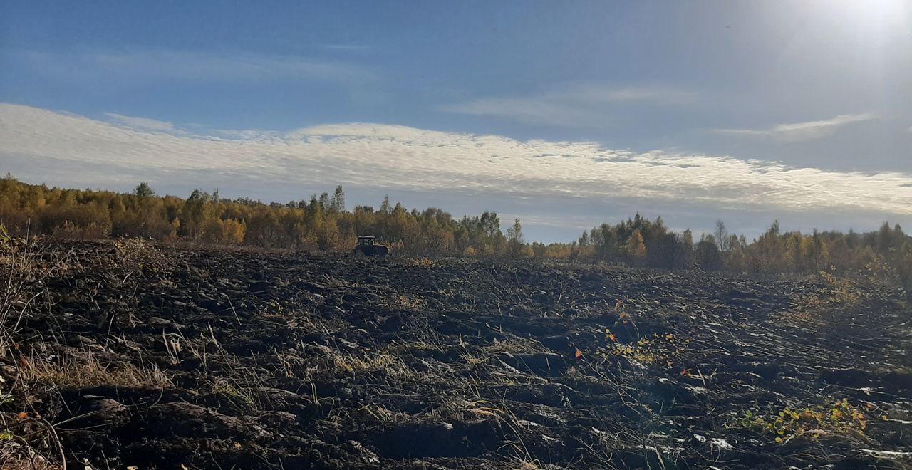 земля городской округ Серпухов д Дубачино 92 км, Пущино, Симферопольское шоссе фото 6