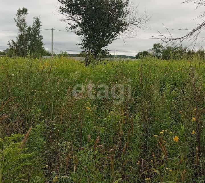 земля р-н Хабаровский село Некрасовка фото 4