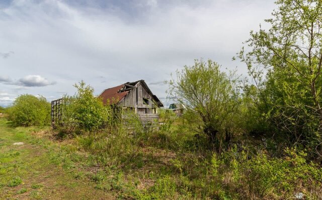 Еврейская автономная обл., Смидовичский р-н, ДНТ Владимировское фото