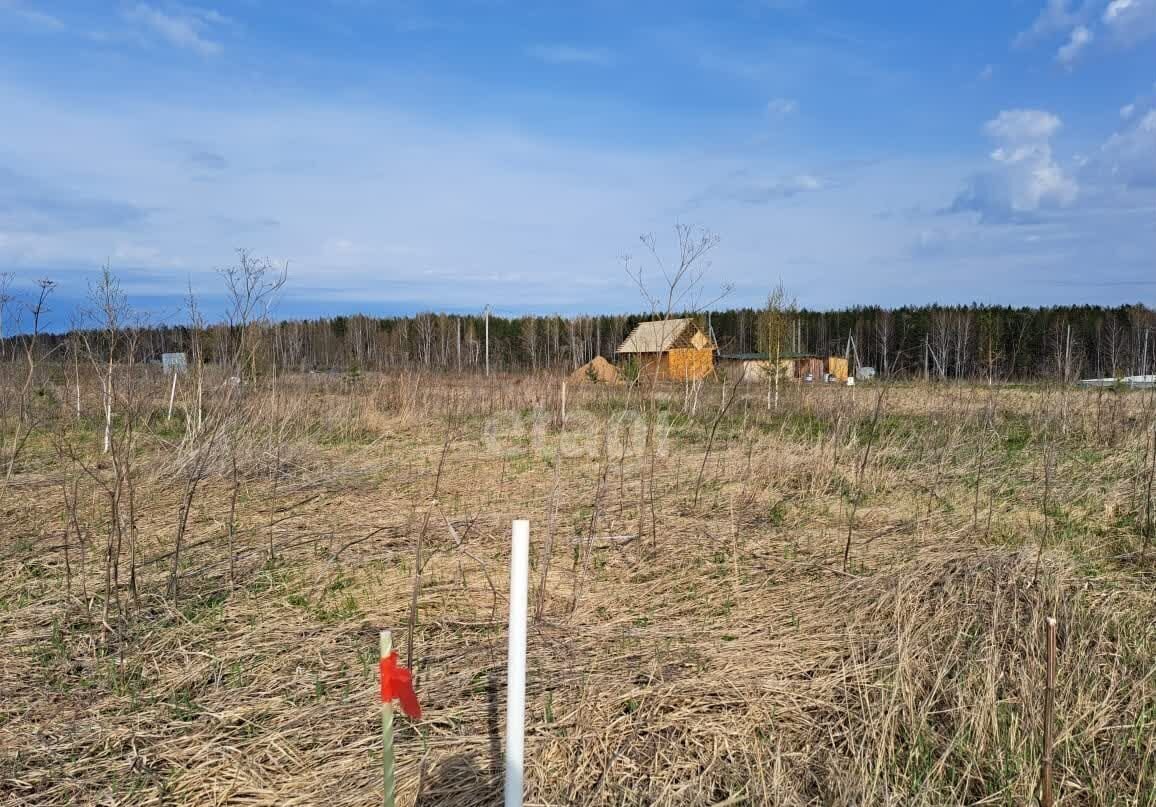 земля г Екатеринбург п Исток р-н Октябрьский 1699, муниципальное образование фото 7