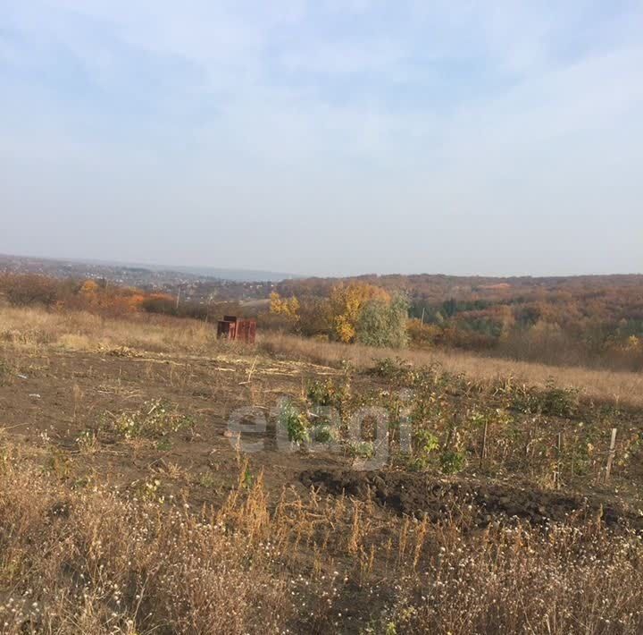 земля р-н Белгородский с Никольское ул Янтарная фото 2