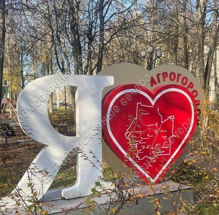 дом городской округ Истра п Агрогородок ул Лесная Нахабино фото 16