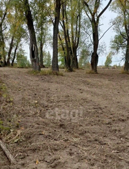 земля р-н Новосибирский п Приобский сельсовет, Кудряшовский фото 7