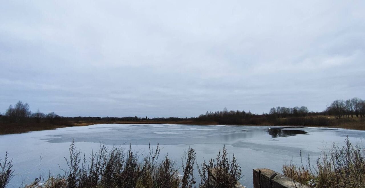 земля р-н Красногородский д Иванцево Красногородск фото 16