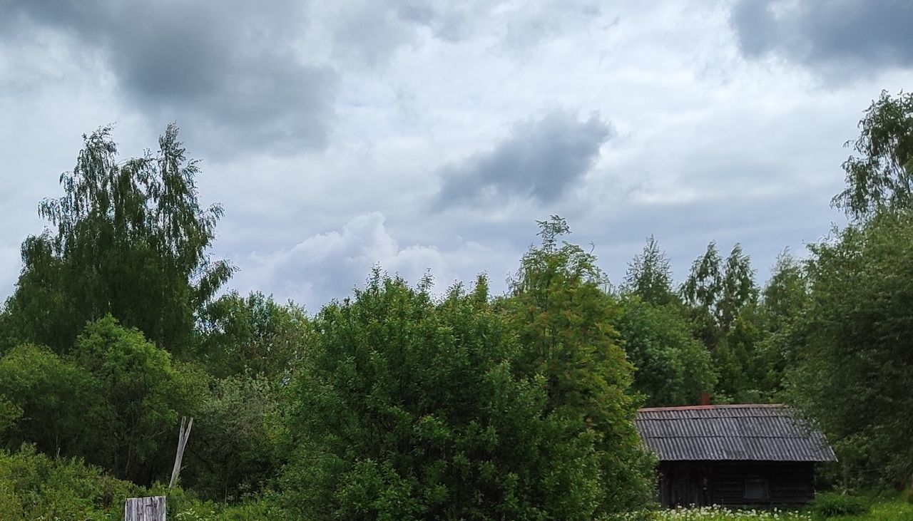 земля р-н Красногородский д Иванцево Красногородск фото 29