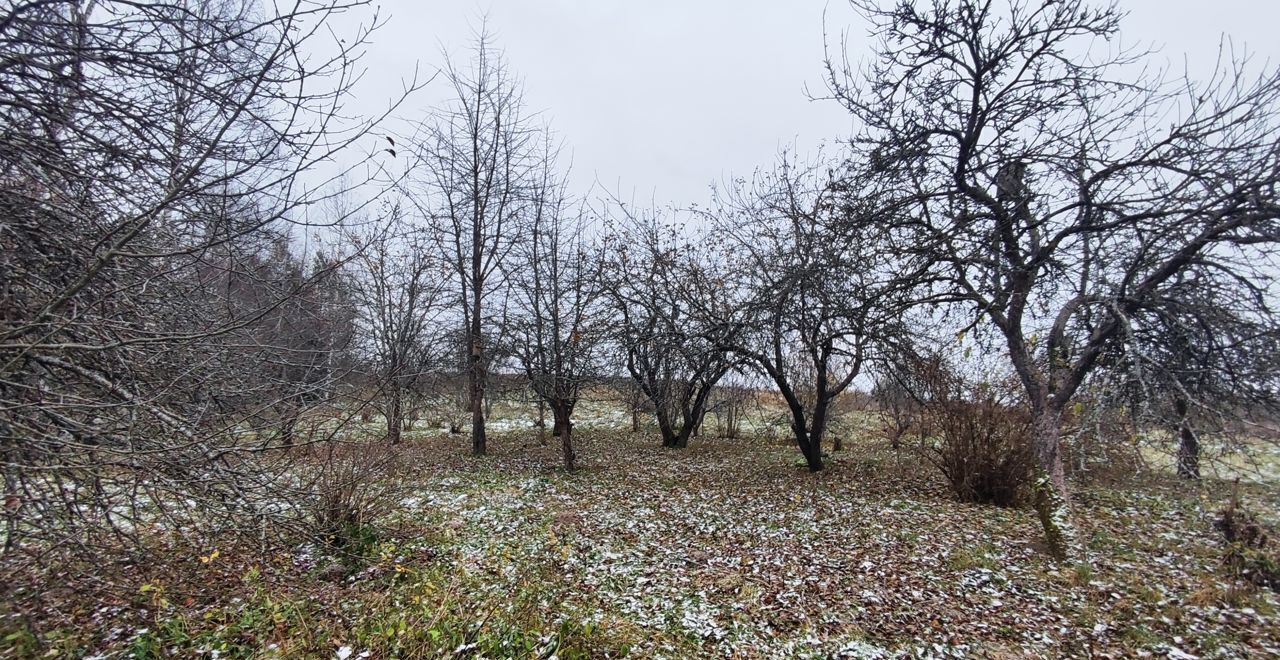 земля р-н Красногородский д Иванцево Красногородск фото 32