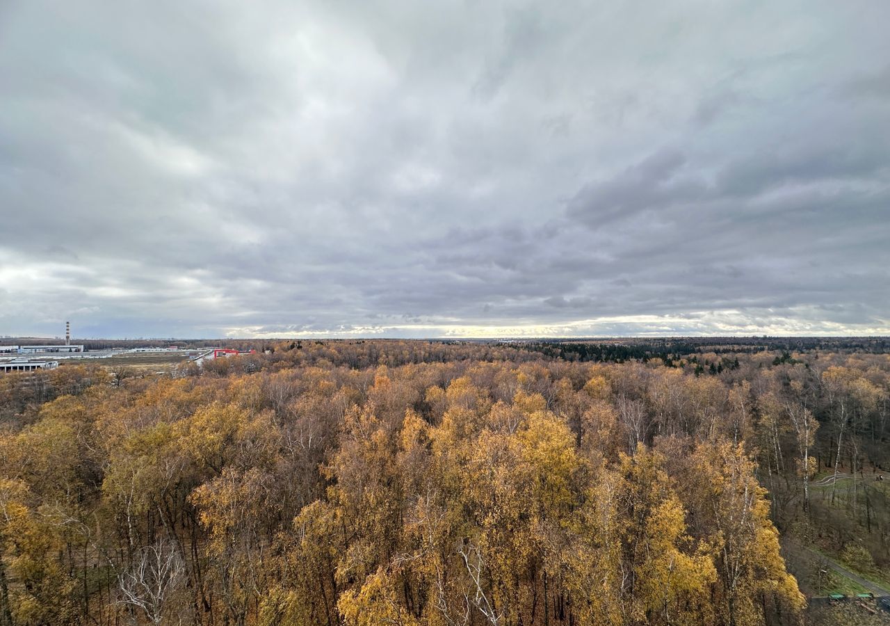 квартира п Московский г Московский Филатов луг, Новомосковский административный округ, 3-й мкр-н, 17, Московская область, городской округ Зарайск, Московский фото 12