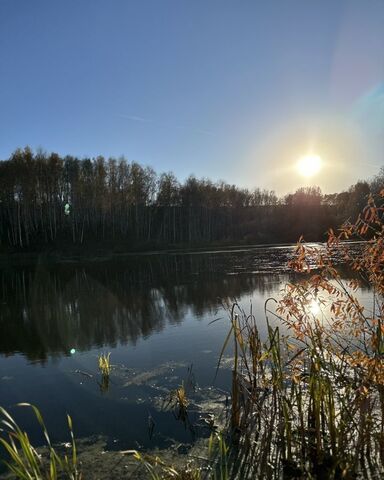 п Маяк пер Березовый 1 сельсовет, Совхозный, Бердск фото