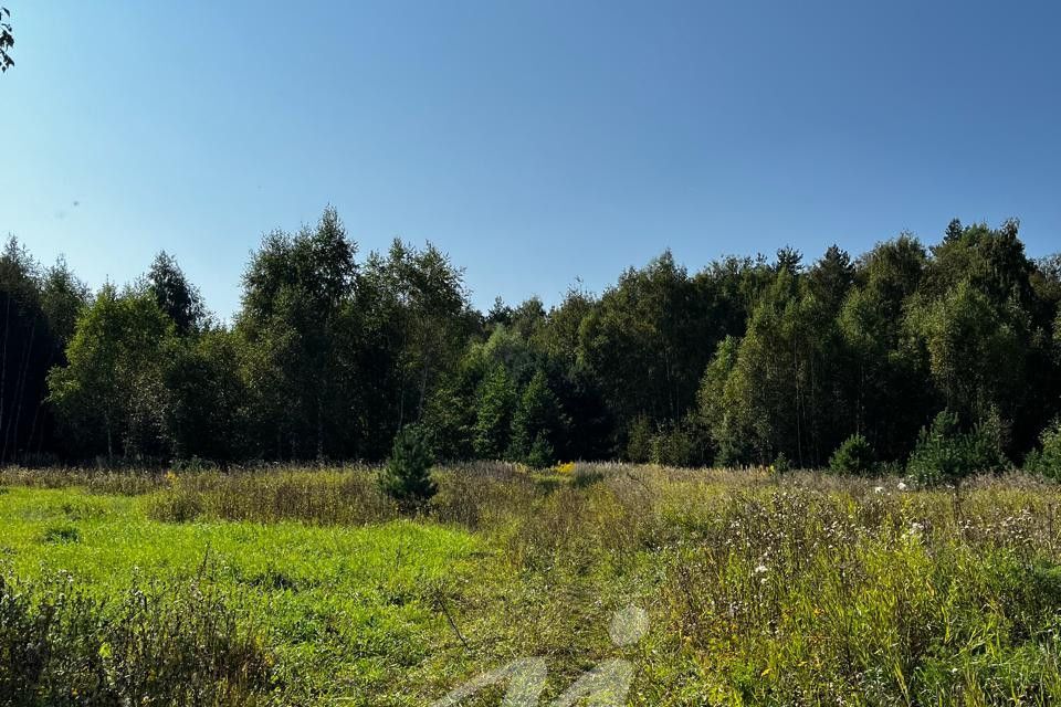 земля городской округ Раменский фото 6