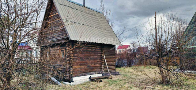 тер НСТ Мичуринец фото