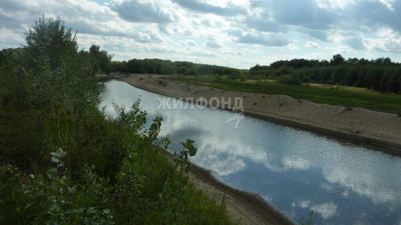 земля р-н Новосибирский п Красный Яр Кубовинский сельсовет фото 7