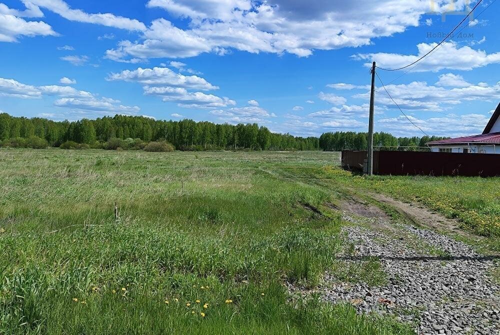 земля р-н Сосновский с Кайгородово ул Южная 2 Алишевское сельское поселение фото 7