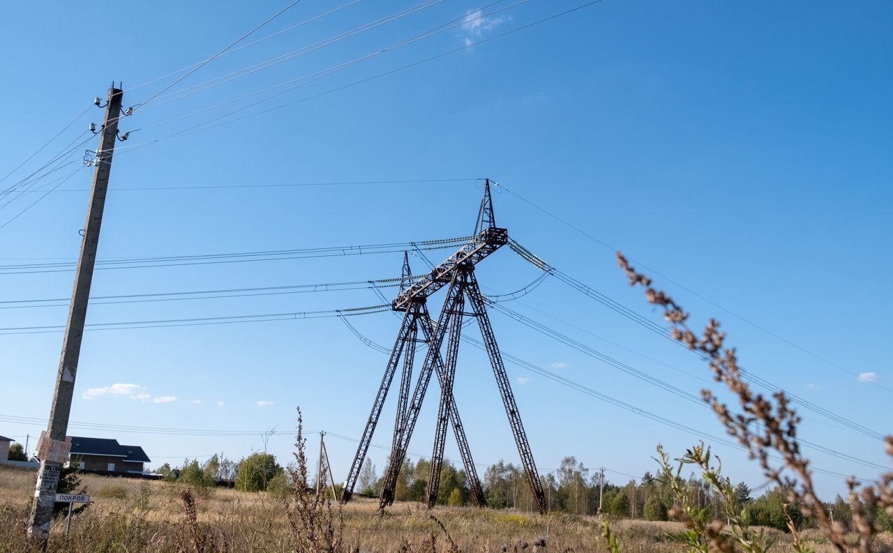 земля городской округ Солнечногорск рп Менделеево 25 км, д. Покров, г. о. Солнечногорск, Рогачёвское шоссе фото 5