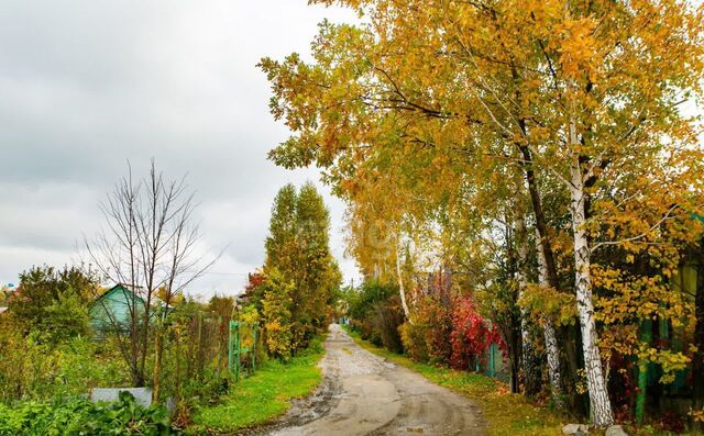 земля снт Семицвет ул Лазурная сельсовет, Новосибирск, Кудряшовский фото