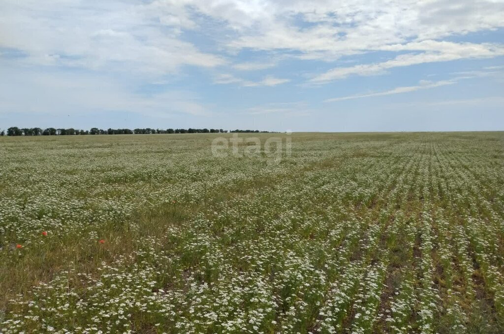 земля р-н Раздольненский с Кукушкино Кукушкинское сельское поселение фото 1