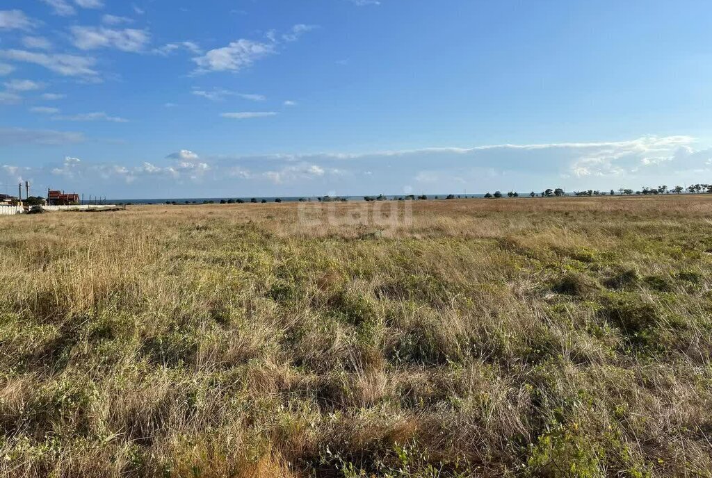 земля р-н Черноморский с Оленевка ул Очеретайская фото 2