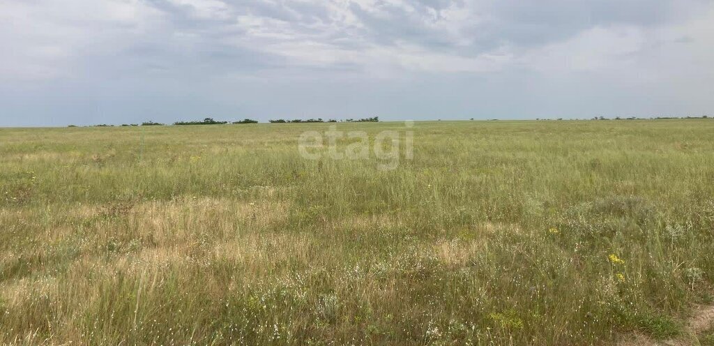 земля р-н Раздольненский с Кукушкино Кукушкинское сельское поселение фото 2